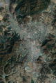 2026년 1월 5일 (월) 19:18 판의 섬네일