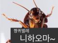 2026년 1월 5일 (월) 19:23 판의 섬네일