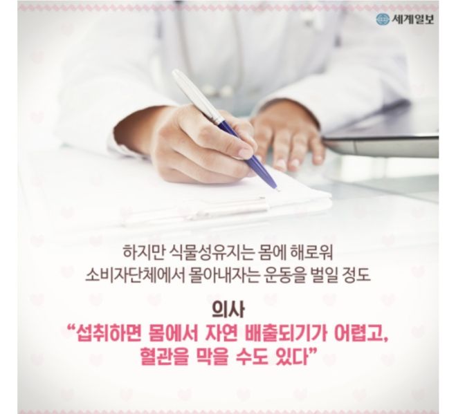 파일:팜유초콜릿1.jpeg