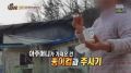 2026년 1월 5일 (월) 19:07 판의 섬네일
