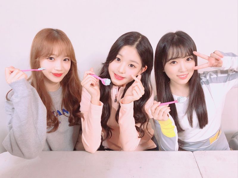 파일:민초단2.jpeg