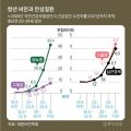2026년 1월 5일 (월) 19:09 판의 섬네일
