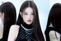 2026년 1월 5일 (월) 19:17 판의 섬네일
