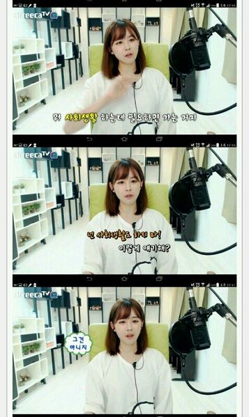 파일:Image (1).jpeg