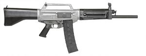 USAS-12.jpg