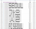 2026년 1월 5일 (월) 19:08 판의 섬네일