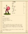 2026년 1월 5일 (월) 19:13 판의 섬네일