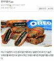 2026년 1월 5일 (월) 19:19 판의 섬네일