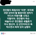 2026년 1월 5일 (월) 19:21 판의 섬네일