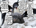 2026년 1월 5일 (월) 19:16 판의 섬네일