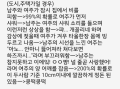 2026년 1월 5일 (월) 19:17 판의 섬네일