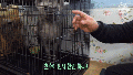 2026년 1월 5일 (월) 19:15 판의 섬네일
