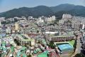 2026년 1월 5일 (월) 19:07 판의 섬네일