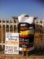 2026년 1월 5일 (월) 19:17 판의 섬네일