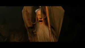 You shall not pass.jpg