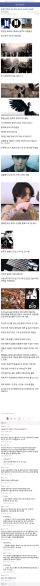 파일:미정갤 틀딱 망상 15.jpg