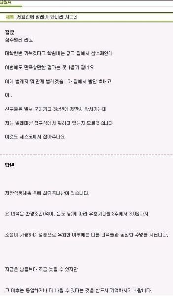 파일:갓스코.jpeg