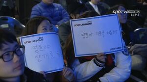 산개녀.jpg