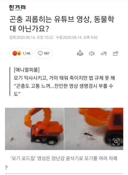 파일:한걸레 해충 쉴드.jpg