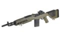 M14 DMR