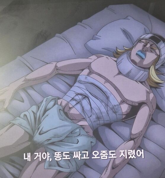 파일:죠니 프로필.jpg