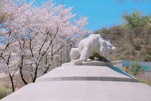 세종호상.jpg