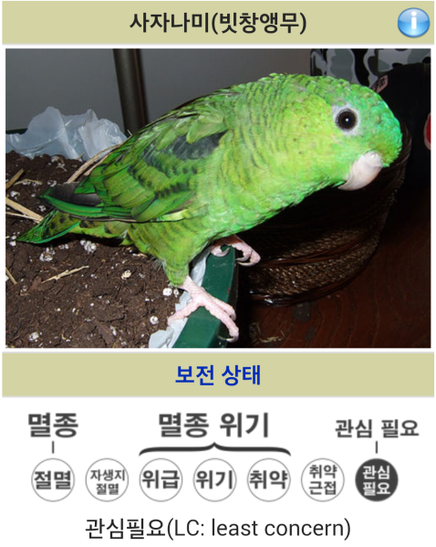 파일:앵무우.png