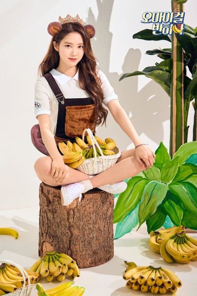 파일:Jiho.jpg