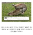 2026년 1월 5일 (월) 19:08 판의 섬네일