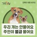2026년 1월 5일 (월) 19:18 판의 섬네일