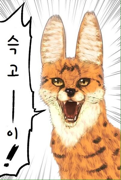 파일:Kemonofrz.jpg