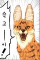 2026년 1월 5일 (월) 19:21 판의 섬네일
