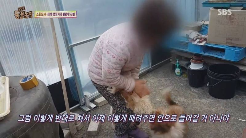 파일:개공장8.jpg