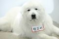 2026년 1월 5일 (월) 19:11 판의 섬네일