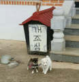 2026년 1월 5일 (월) 19:12 판의 섬네일