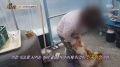 2026년 1월 5일 (월) 19:21 판의 섬네일