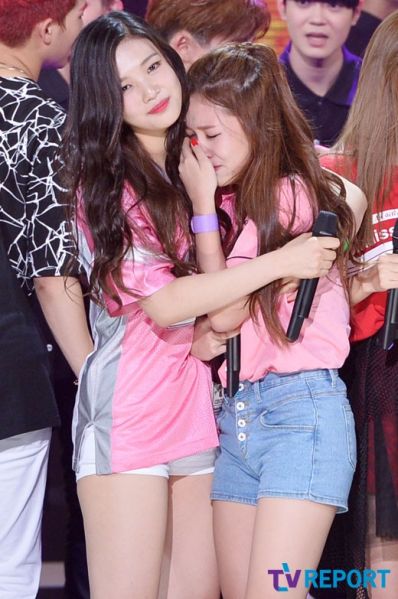 파일:덤덤조이2.jpg