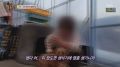 2026년 1월 5일 (월) 19:18 판의 섬네일