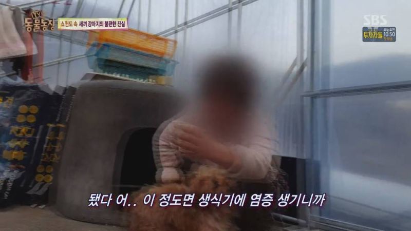 파일:개공장4.jpg