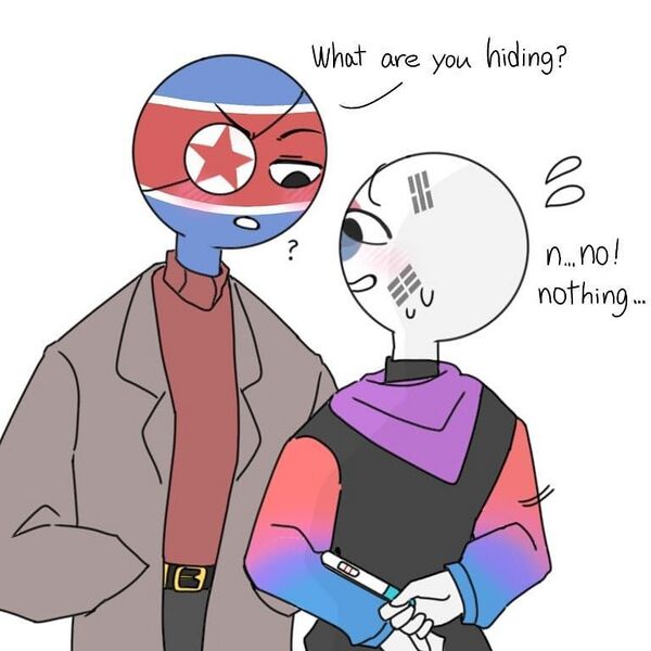 파일:남북섹.jpg