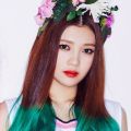 2026년 1월 5일 (월) 19:24 판의 섬네일