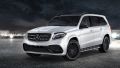 1세대 GLS 63 AMG