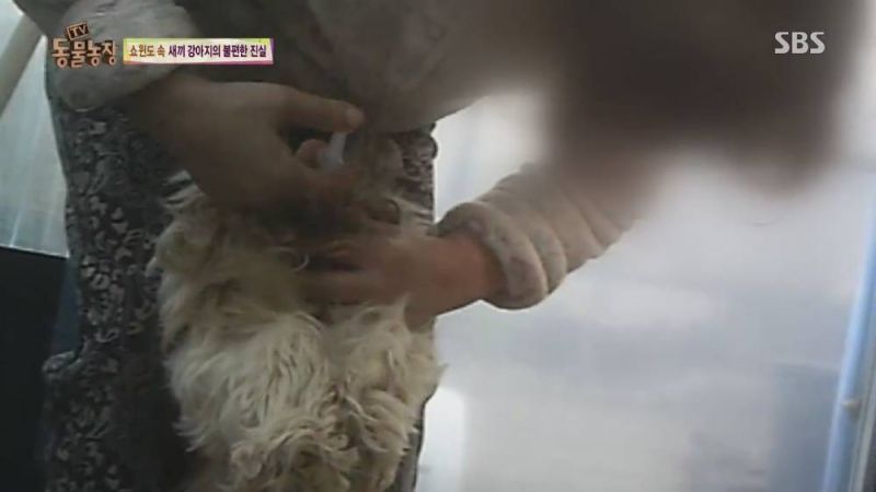 파일:개공장5.jpg