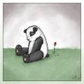 2026년 1월 5일 (월) 19:18 판의 섬네일
