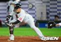 2026년 1월 5일 (월) 19:15 판의 섬네일