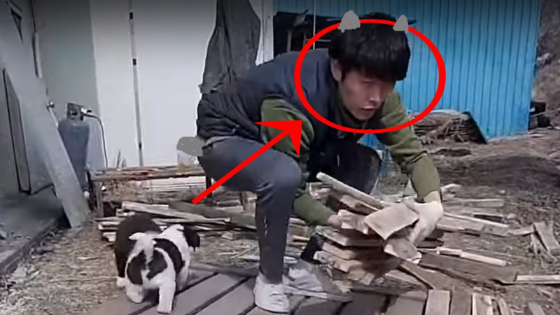 파일:갑알라.png