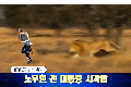 2026년 1월 5일 (월) 19:23 판의 섬네일