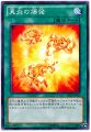 2026년 1월 5일 (월) 19:16 판의 섬네일