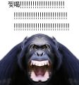 2026년 1월 5일 (월) 19:22 판의 섬네일