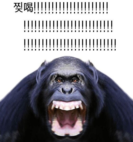 파일:찢갈.jpg